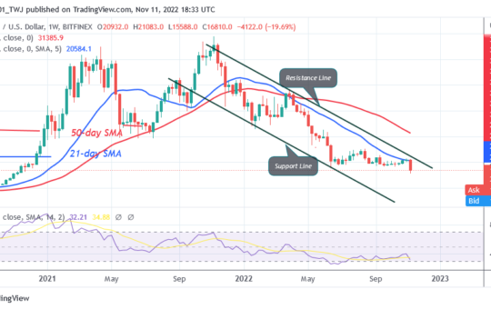 Bitcoin Price Prediction for Today, November 11: BTC Price Declines and Revisits the $15.6K Low