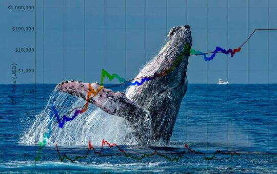 Crypto Whales are Accumulating These Altcoins Before 2023 – Here’s Why
