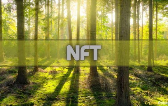 ETH NFT Activity Up Only for 5 Weeks in a Row: Data